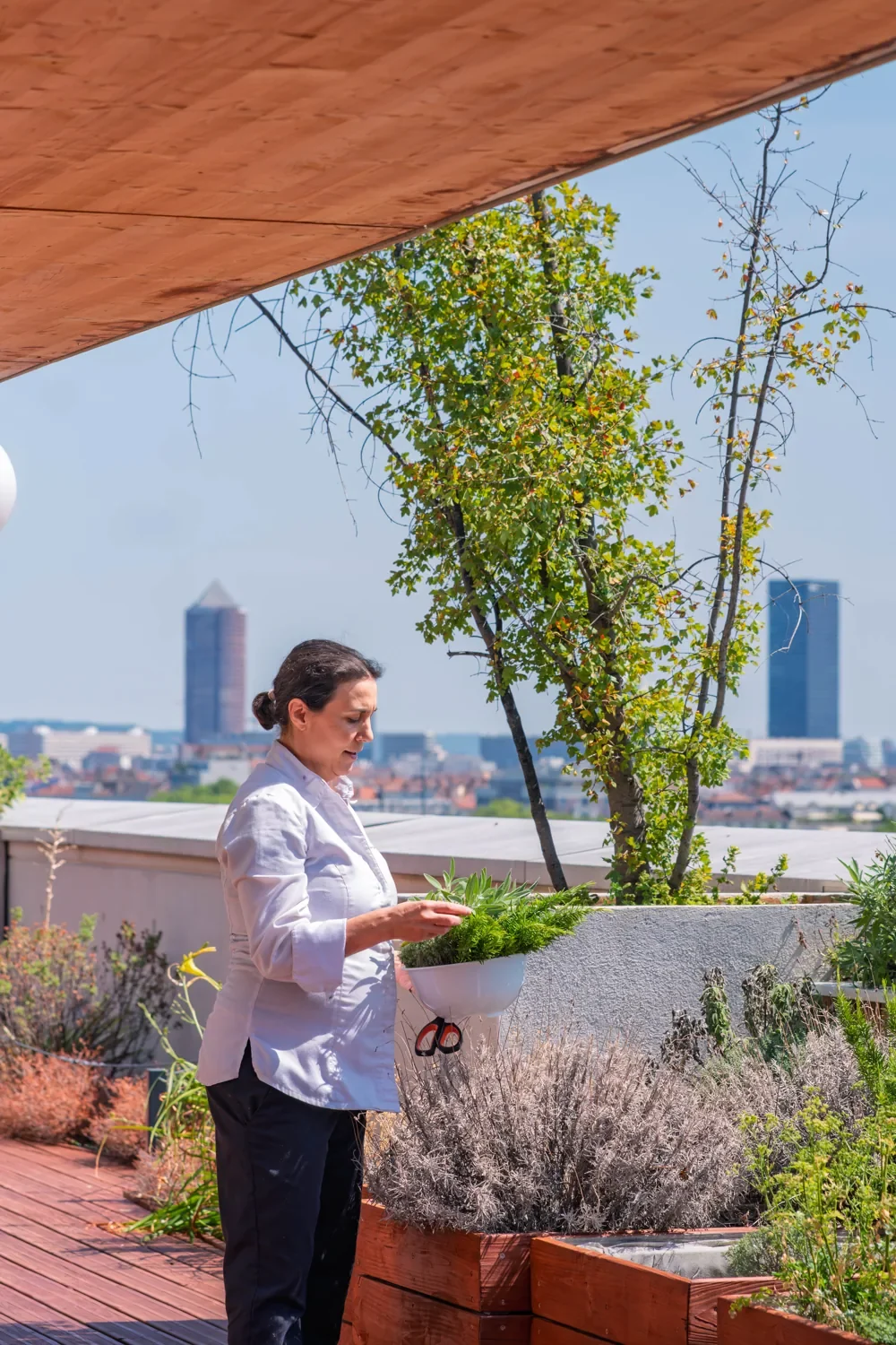 La cheffe cueille les aromates cultivés sur le rooftop de Lumen, vue sur Lyon